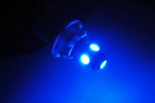 LEDs Azules 168 - 194 - W5W - T10