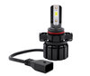 Kit bombillas LED 5202 (PS24W) Nano Technology - conector plug and play