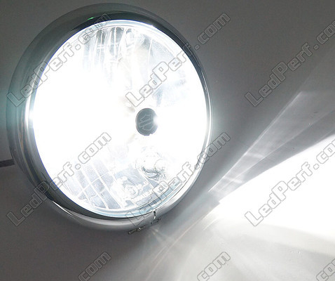 Bombilla 9005 (HB3) LED moto ajustable - Iluminación color Blanco puro
