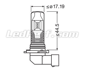 Conjunto de los Dimensiones del bombilla led H10 Osram LEDriving Standard para Antinieblas