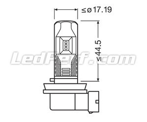 Conjunto de los Dimensiones del bombilla led H11 Osram LEDriving Standard para Antinieblas