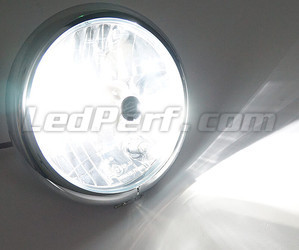 Bombilla H4 LED moto ajustable - Iluminación color Blanco puro