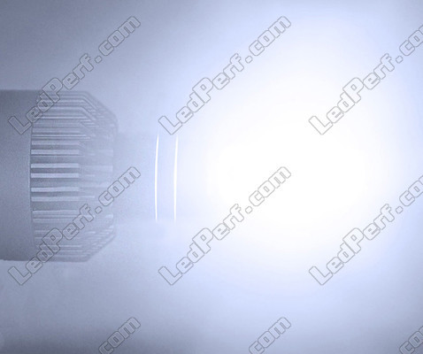 Acabado H7 LED para vehículos VW Audi Skoda Seat Porsche y Mercedes