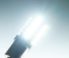 Iluminación bombilla 1157 - 7528 - P21/5W LED (BAY15D) Ultimate Ultrapotente