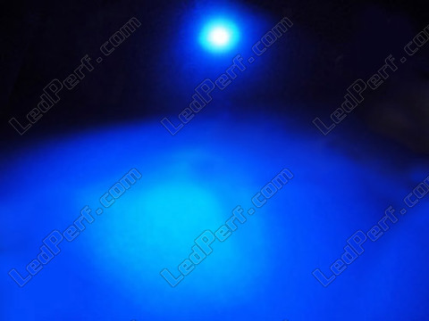 LED T5 37 74 Cube W1.2W con 2 LED smd HP azul