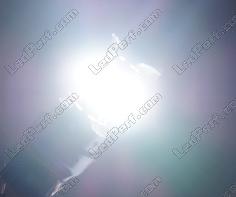 7443 - W21/5W - T20 LED Serie Ghost luz blanca