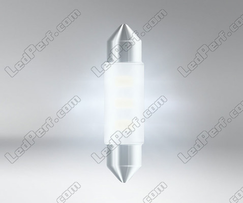 Iluminación Osram Ledriving SL Bombilla lanzadera LED 41mm C10W - Blanco 6000K - 6413DWP-01B