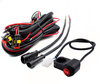 Haz eléctrico completo con conexiones estancas, fusible de 15 A, relé e interruptor de manillar para una instalación plug & play en Ducati Hypermotard 821