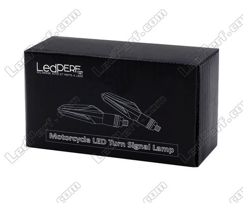 Envase Intermitentes LED secuenciales para Moto-Guzzi Eldorado 1400