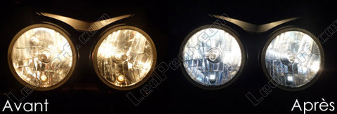 LED luces de posición blanco xenón Triumph Street Triple Speed Triple
