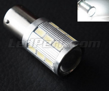 Bombilla 1157 - 7528 - P21/5W Magnifier de 21 LEDs SG de Alta Potencia + Lupa blancas Casquillo BAY15D