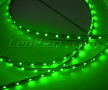 Banda flexible 24V de 50cm (30 LEDs cms) verde