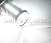 Bombilla LEDs Backup 64136 - H21W para luces de marcha atrás blanca Ultra Bright Casquillo BAY9S