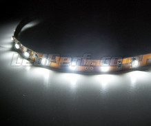 Banda flexible estándar de 1 metro (60 LEDs cms) blanco